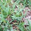 로뎀나무아래 이미지