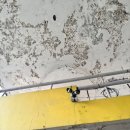 개진주유소 이미지