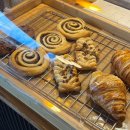 일로-1 | 남악 인근 일로의 관엽식물이 많은 포모스 카페 포케와 커피