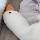 에스엠무역상사 | 올해는 열심히 살게 🥲