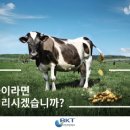 지속가능성 내세운 하수처리 기술로 3,000억원 수주 예상 중인 부강테크 이미지