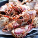 거구돼지 이미지