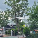 월드스포츠스쿨 아쿠아센터 이미지