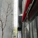 살롱디엘헤어샵 네이버블로그
