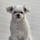 살롱드 멍 이미지