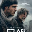 도그스타 이미지