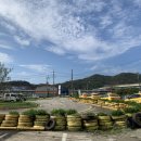 흥덕5길 등 | 오창 운전면허학원 5곳, 가격, 합격률, 셔틀까지 완벽 비교 분석!