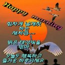 고집(Go집)