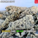 순이네건어물