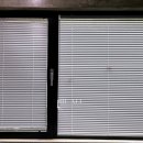 어나더153애견펜션 이미지