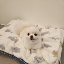 보미미용실 이미지