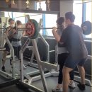 헬스피아 이미지