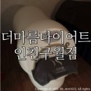 3707 | 구월동다이어트맛집 더마름에서 다이어트 식단 조절 없이 TM핏 관리만으로 체지방 감량 한 후기