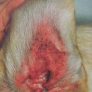 신천동물병원 이미지