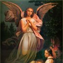 (주)수호천사 이미지