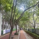 금곡2천 이미지