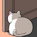 Paxi(팩시) | 반려동물택시 펫택시 팩시 paxi 이용 솔직한 후기 / 예약 누락시 카카오택시 이용 tip