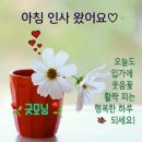 9월 22일 아침인사~❤️ 이미지