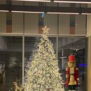 나인트리 바이 파르나스 서울 인사동 | [서울/종로] 나인트리 바이 파르나스 서울 인사동 호텔 스탠다드 더블 1박 후기