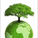 해바라기 태양광발전소 이미지