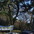 외나무 약국 이미지