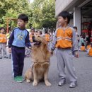 아이마루어린이집 이미지