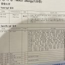 내친구고양이 | 내가 고양이 알러지..?(MAST검사 후기)