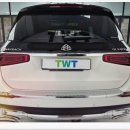 더웨이(TWT) 이미지