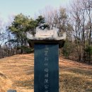 진화 묘 이미지