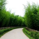 해파랑길 7코스 이미지