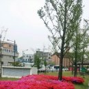 천안축구센터작은도서관 이미지