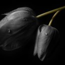 꽃향기바다소리 이미지