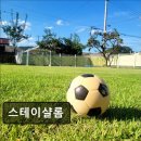 스테이샬롬 이미지