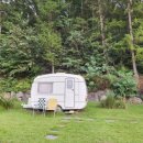 어얼리 도어 이미지