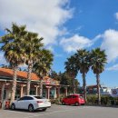 제주올레국수 이미지