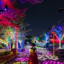 가야-10 경남도민일보