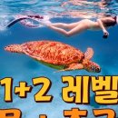 스낵프리다이빙