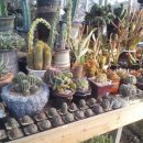 진기농장 이미지