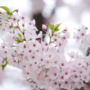 화개119지역대 이미지