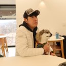 한화호텔앤드리조트(주) 조이아 | 포천 실내 애견동반 가능한 조이아인비토 카페 소금빵 맛있어!