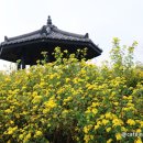 목섬 공중화장실 이미지