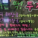 광화문진뚝해
