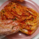 국산 김치 추천! 깊은 맛이 살아있는 옥천향수식품 김치5kg 솔직 후기