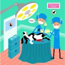 21세기동물병원 이미지