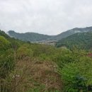통나무밸리