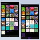 비바비디오 이미지