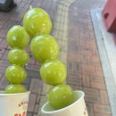 김재욱 합기도 이미지
