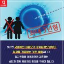 초이스맘