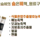 이든네이처대구 이미지