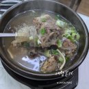 본가 | 대전 유성구 갈비탕 맛집 산삼이 서비스로 나오는 대왕본가 솔직후기